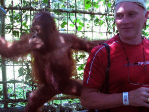 Orang Oetan in het kwadraat