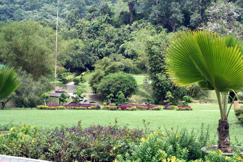 Botanische tuin