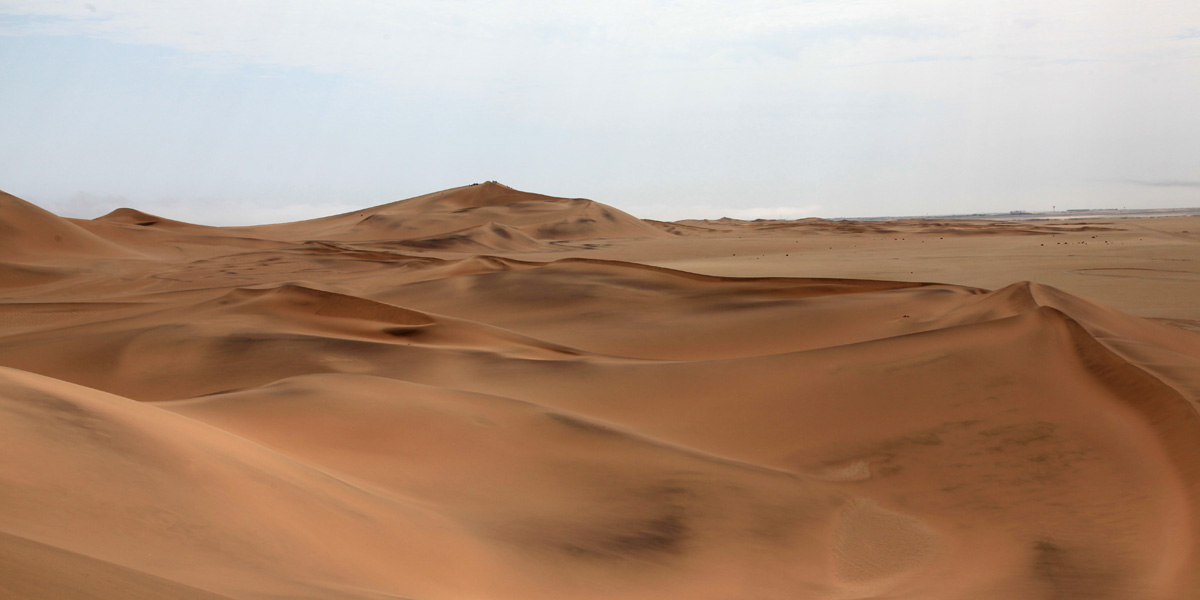 Dorob desert Namibia