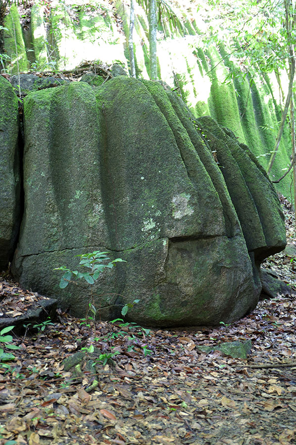 Bij de Fredberg