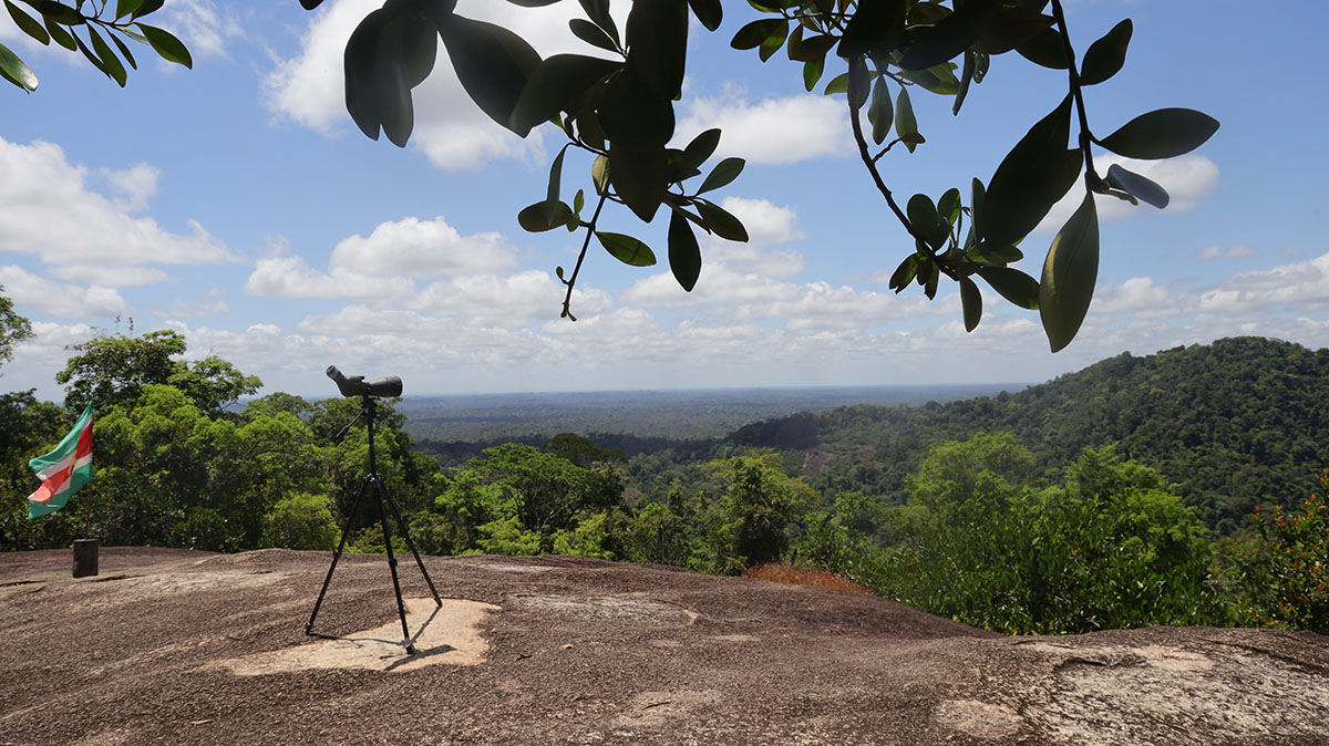 De Fredberg - Suriname