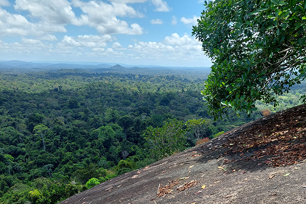 De Fredberg - Suriname