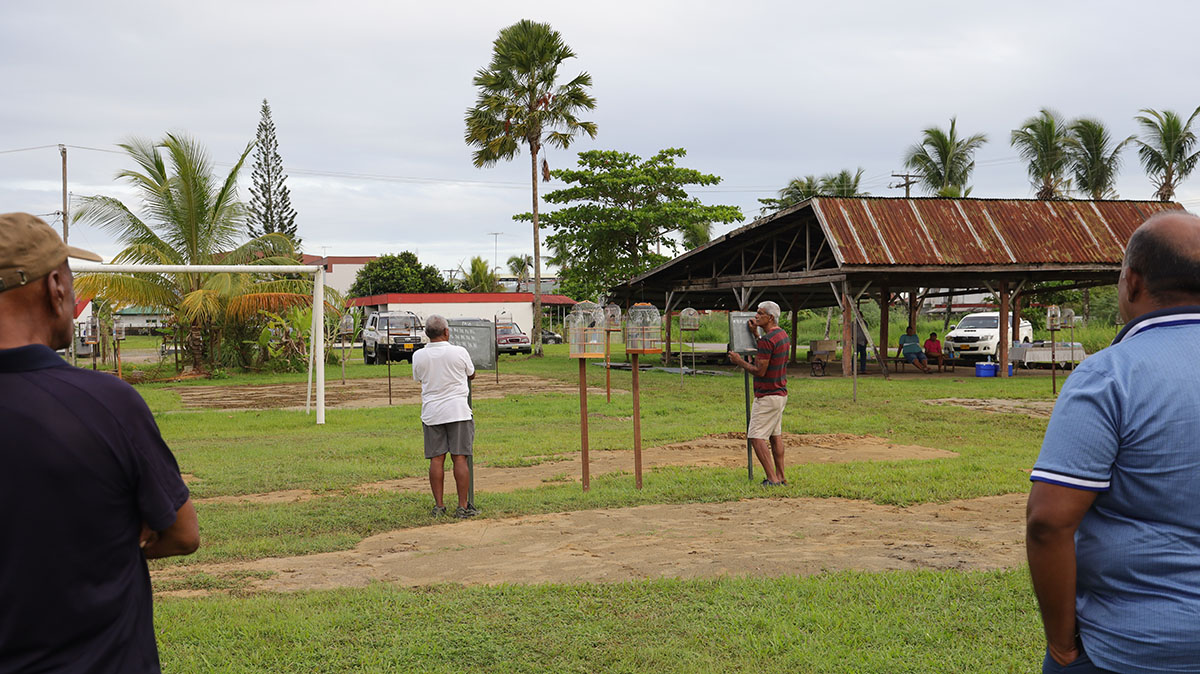 Vogeltjesmarkt Paramaribo