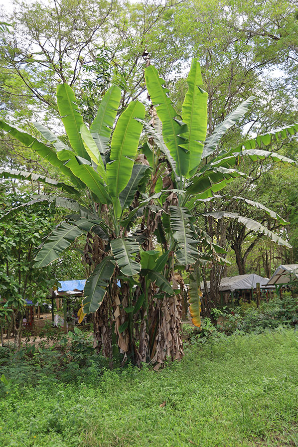 Het Cultuurpark