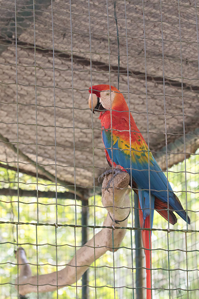 Paramaribo Zoo