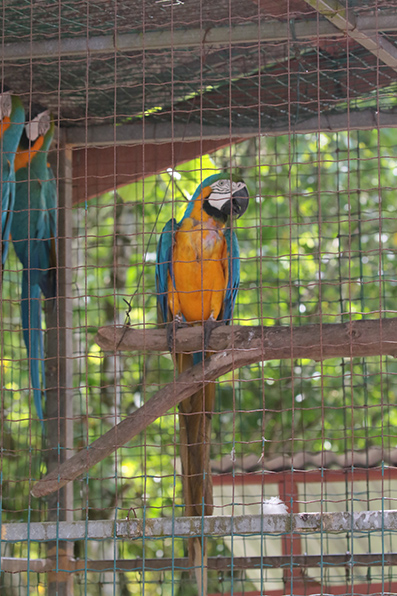 Paramaribo Zoo