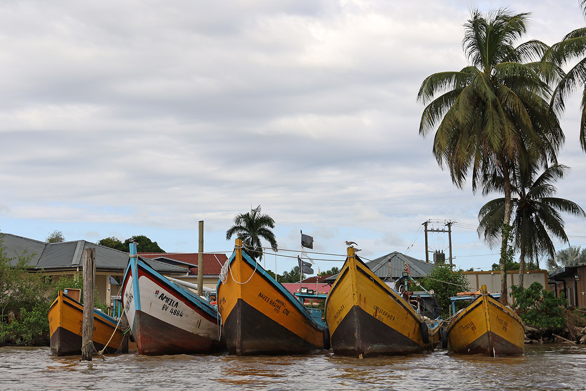 Boten langs de Surinamerivier