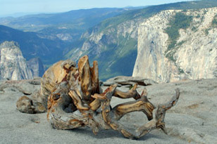 El Capitan vanaf Sentinel Dome