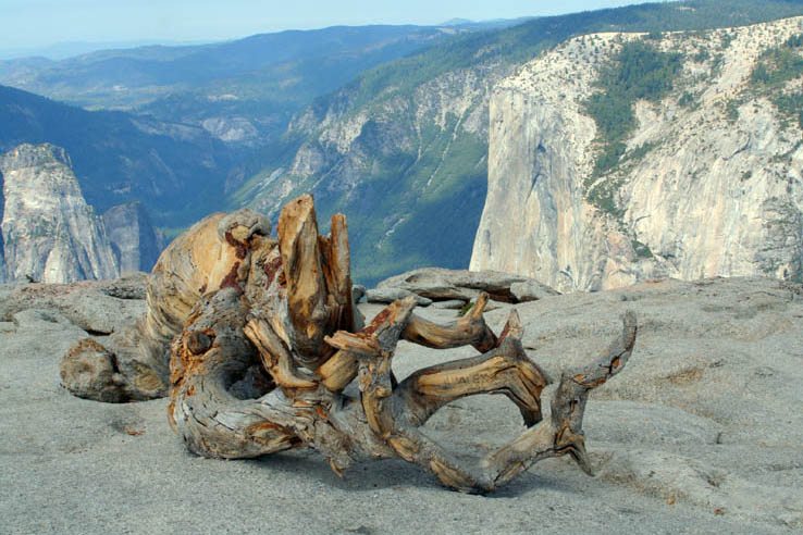 Uitzicht op El Capitan vanaf sentinel Dome