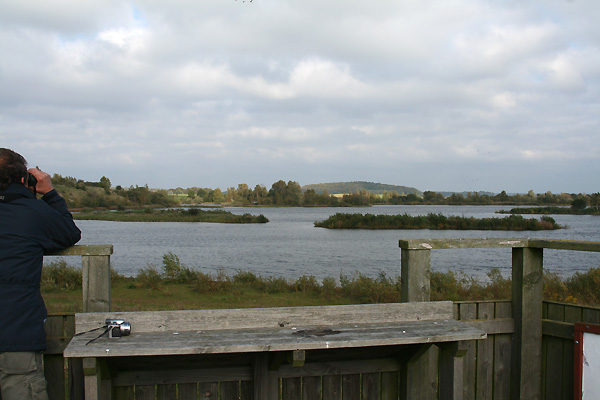 Gävelbjärs natuurreservaat