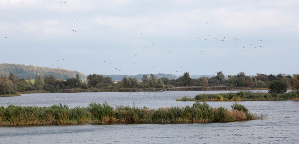 Gävelbjärs natuurreservaat