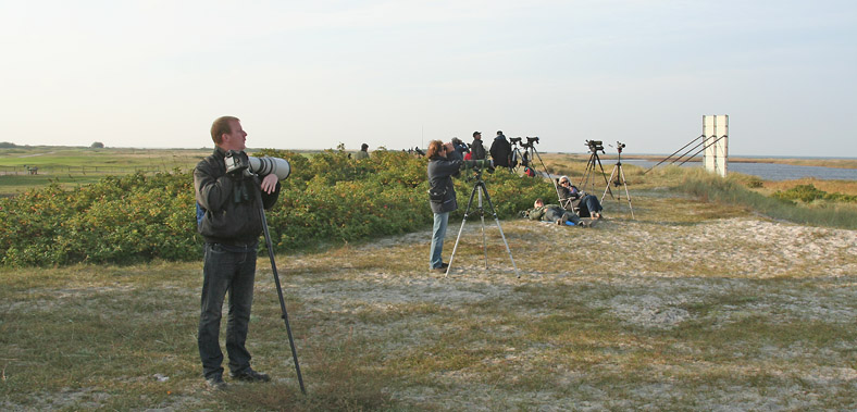 Nabben in Falsterbo