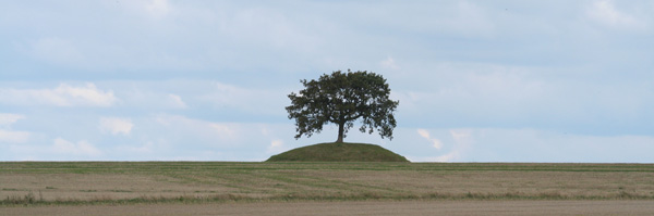 Zweeds landschap