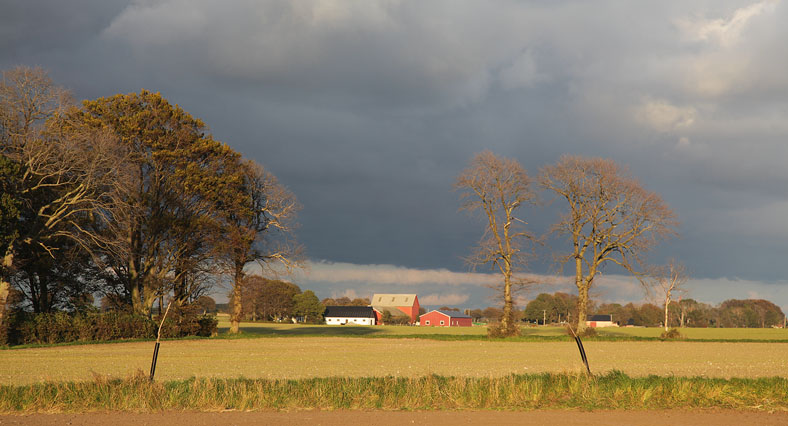 Zweeds landschap in de avondzon