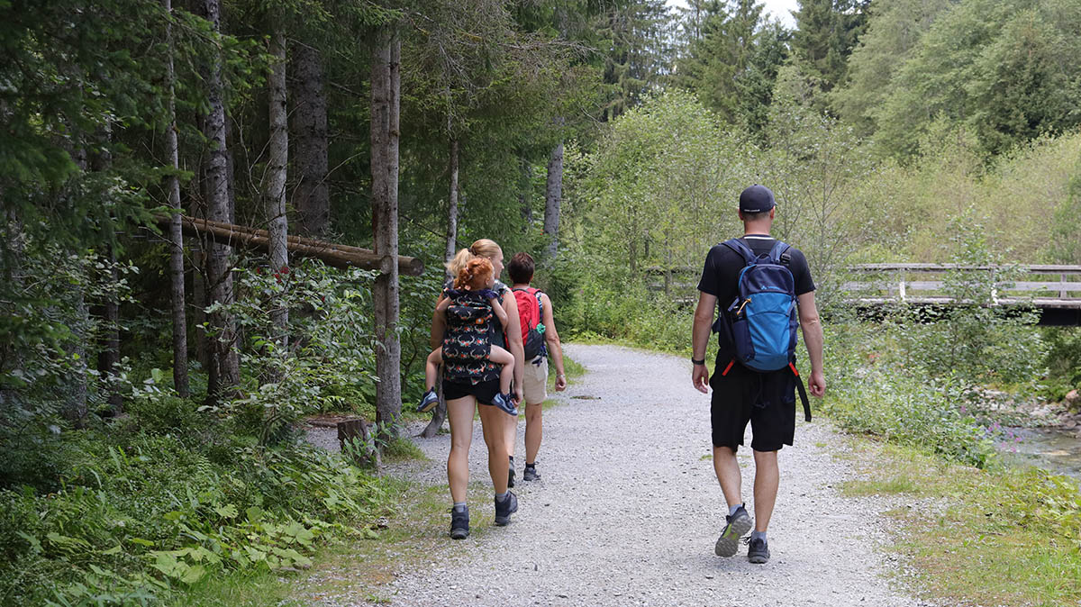 terugweg vanaf Fellimännle