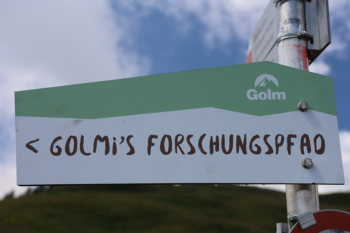 Golmi's Forschungspfad