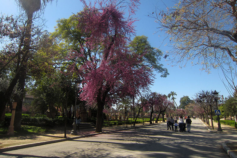 Parque María Luisa